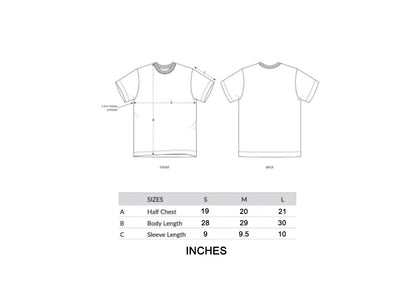 MONEY COLLECTION SUMMER SET (NEXT DAY DELIVERY)